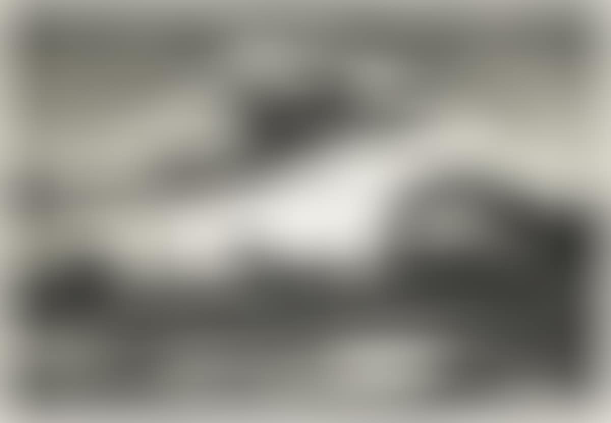 The Race (preview)