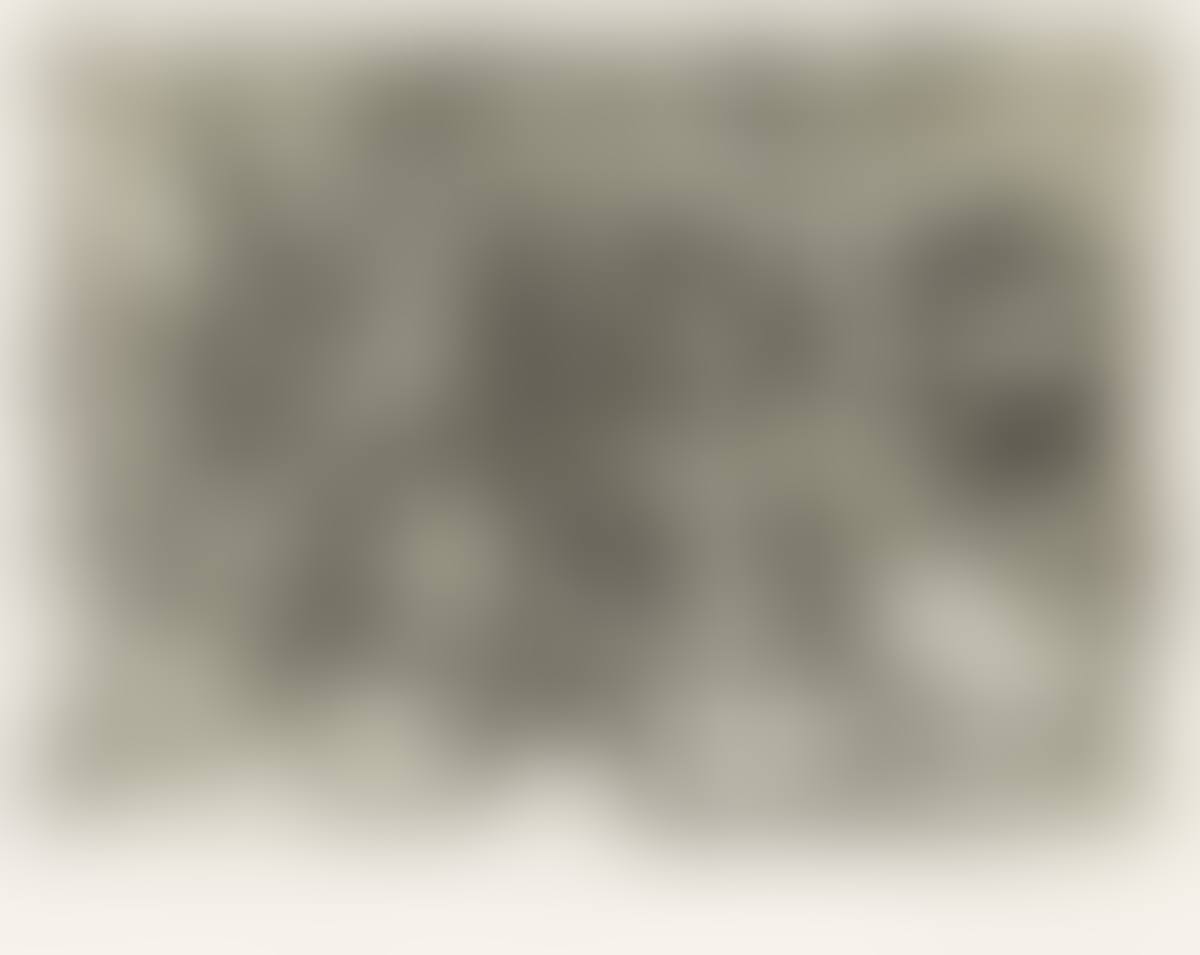 Le Viol, Vii. (preview)