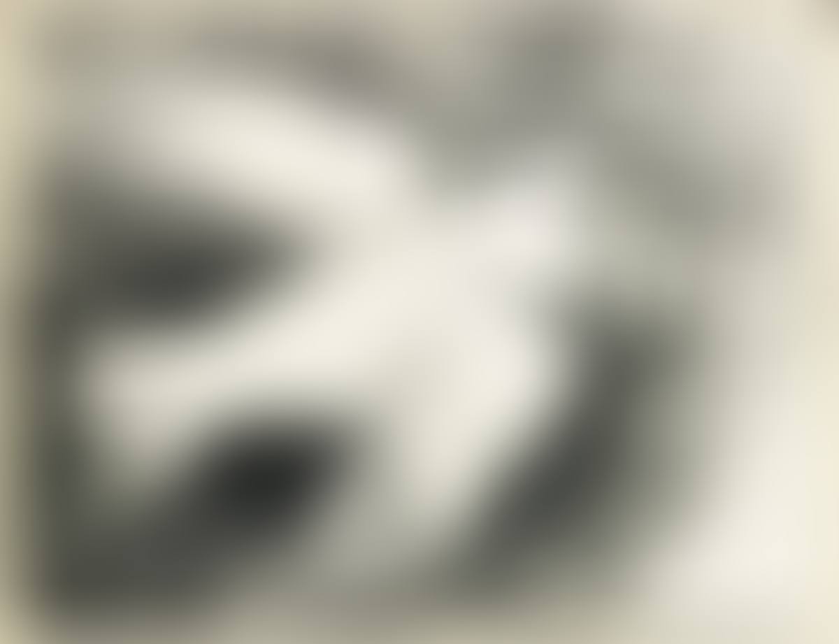 Le Colombe En Vol, Fond Noir (preview)