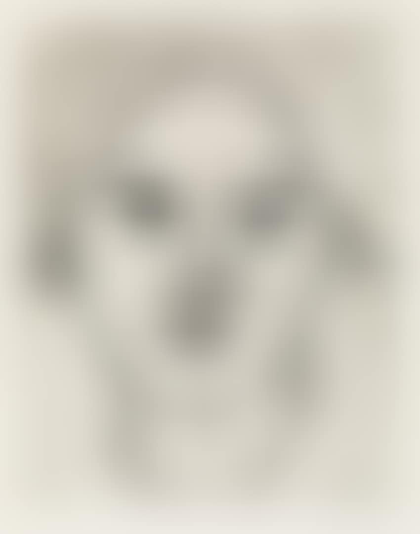 Frau N. (frau Ada Nolde) (preview)