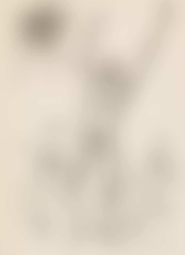 Study For "l'aspiration" (preview)