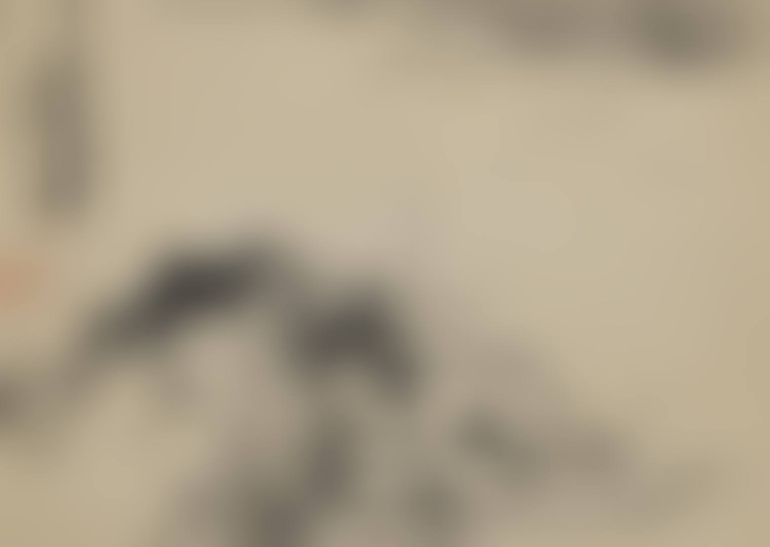 RIVERSCAPE (preview)