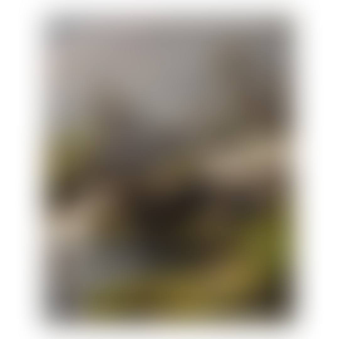SCENE ON THE SUSQUEHANNA NEAR PEQUEA (preview)