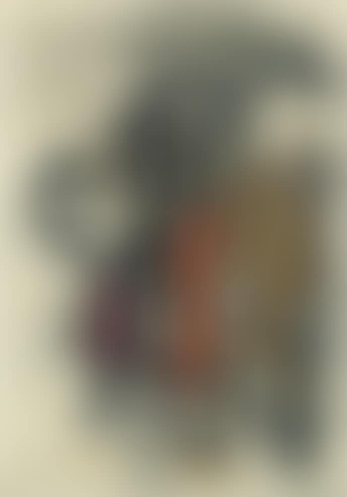 Torero (preview)