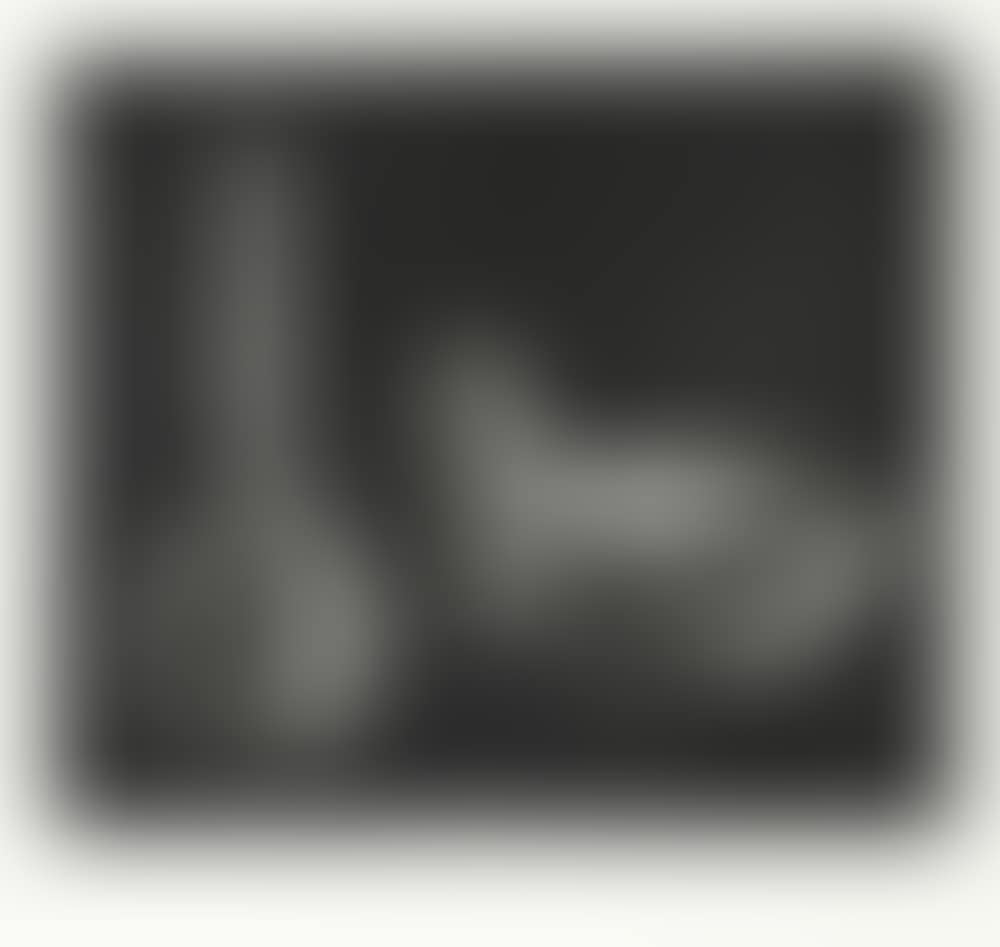 Laboratory Still Life, State I (preview)