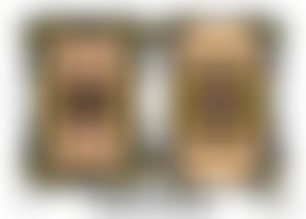 Fruiters (preview)