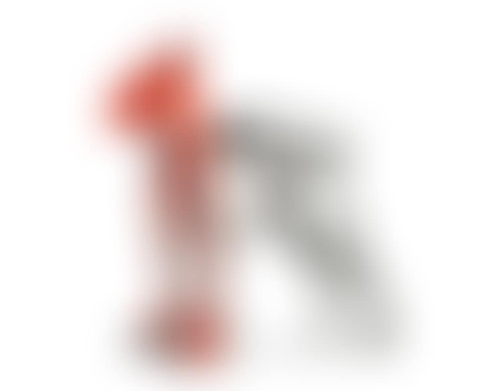 Cloned Bulldog with pet bottle (coral) (preview)
