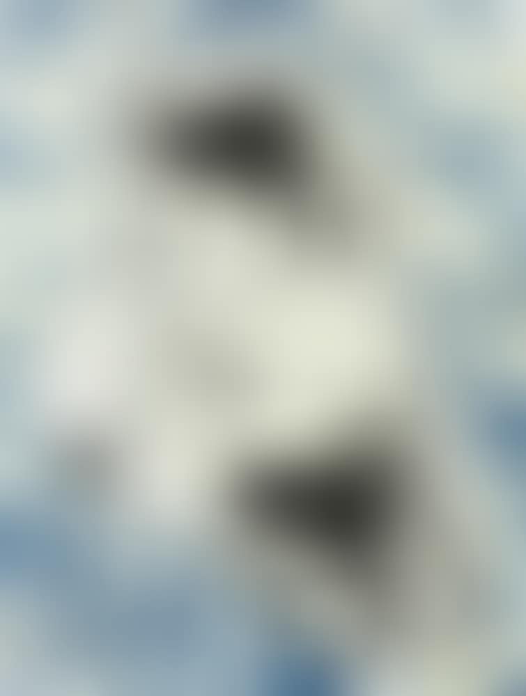 Bunny Boy II (preview)