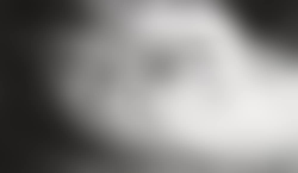 Angel's Wing (Wave) (preview)