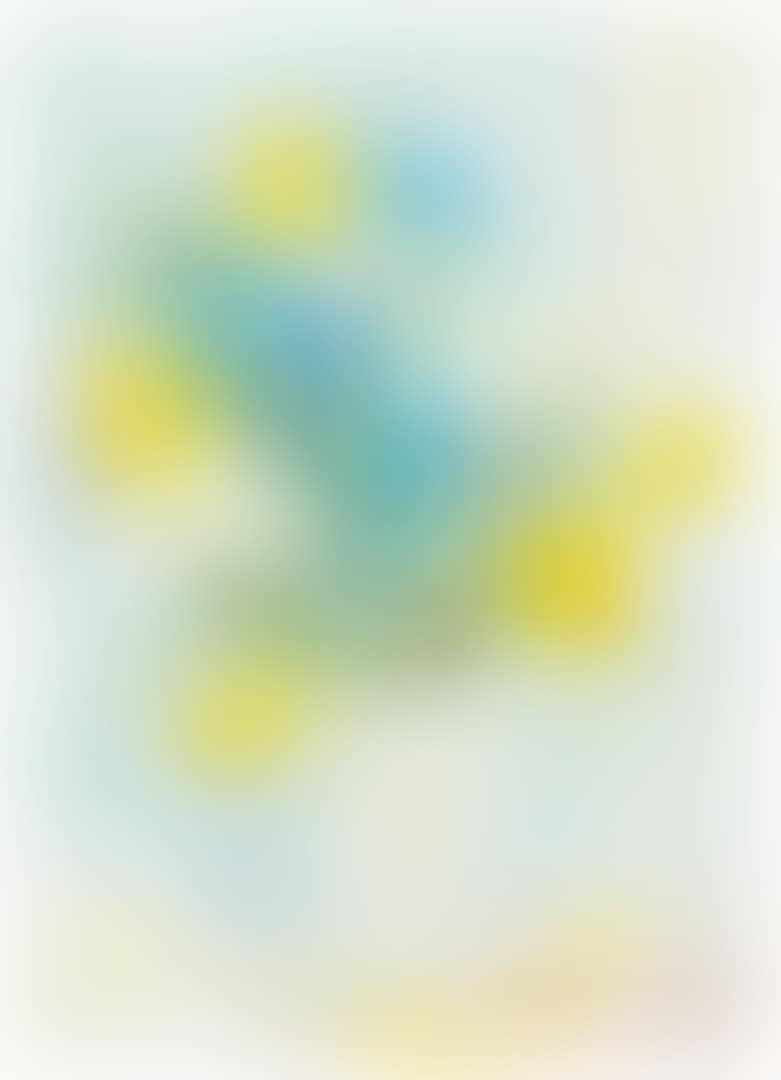 Untitled (Fleurs) (preview)