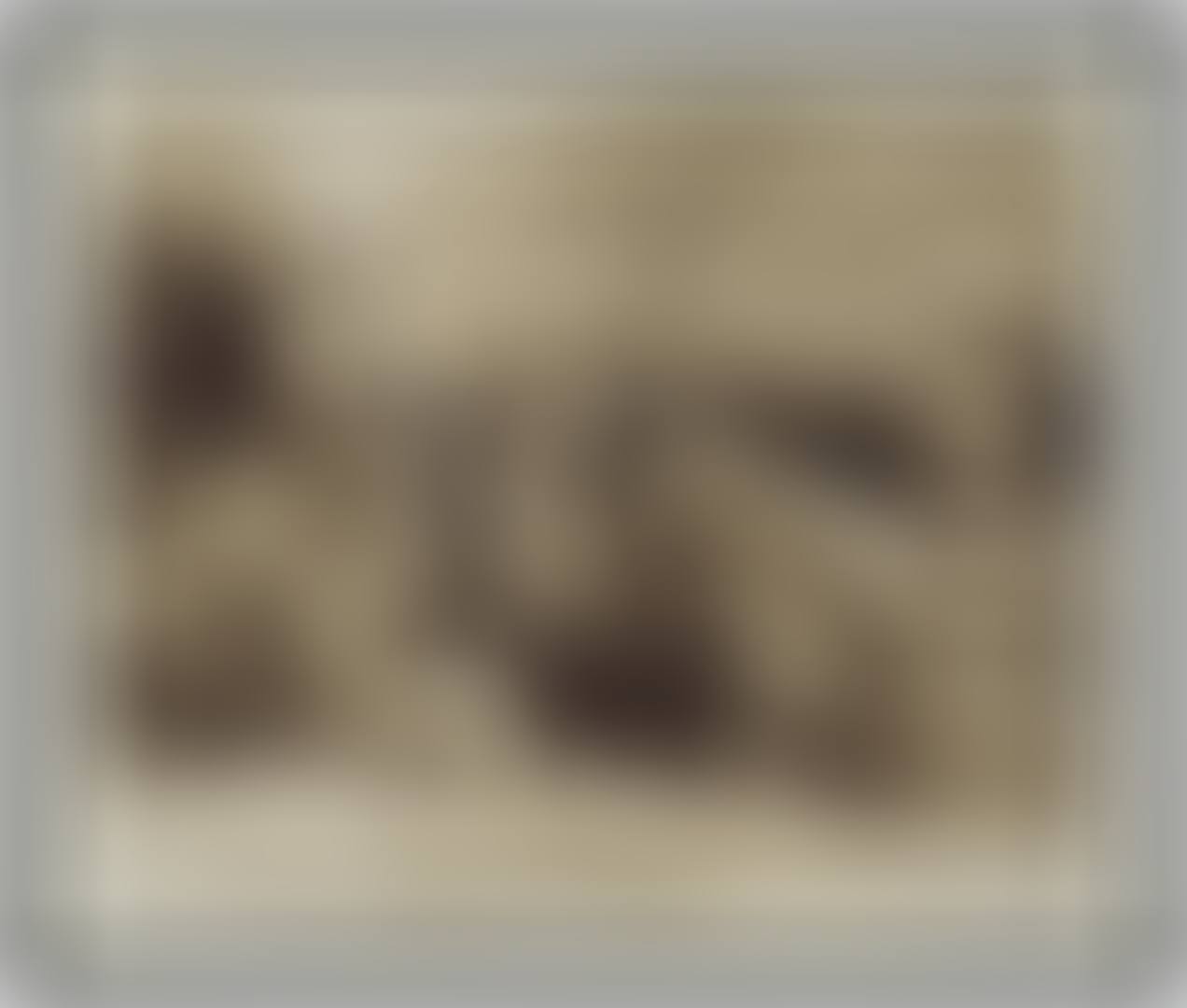 World-Class Black Rhino, Aberdare Forest, 1972 (preview)