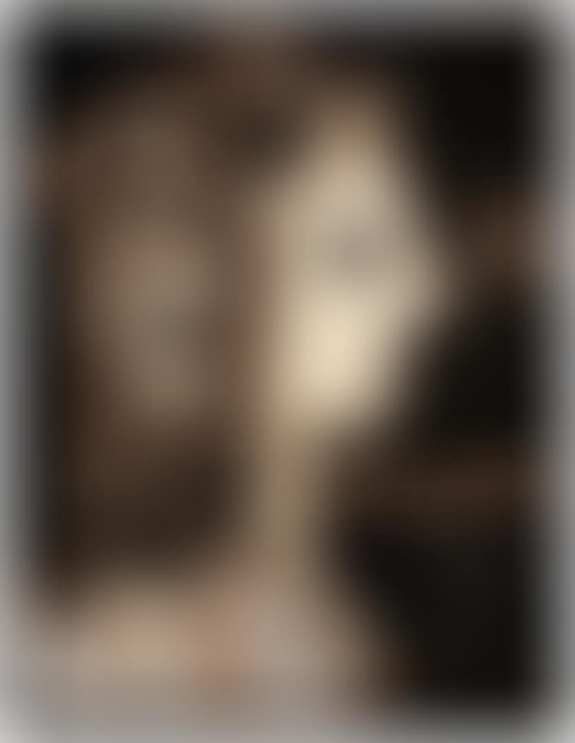 LA DAMA DE ARGEL SOBRE FONDO NEGRO (preview)