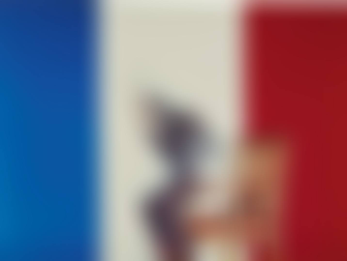 UNTITLED (JEAN-JAQUES AILLAGON, MINISTER OF CULTURE AND COMMUNICATION) (preview)