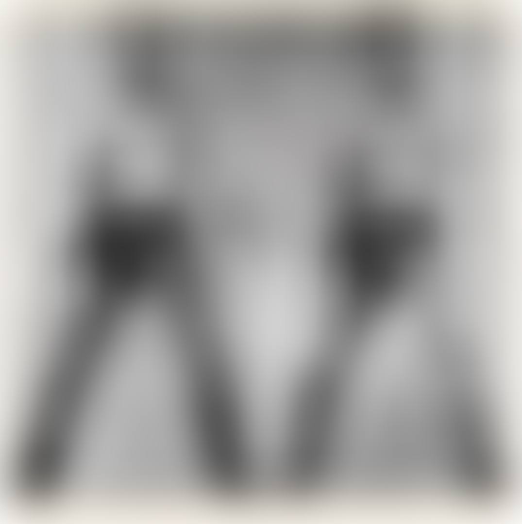 ANDY WARHOL, “DOUBLE ELVIS", 1963 (preview)