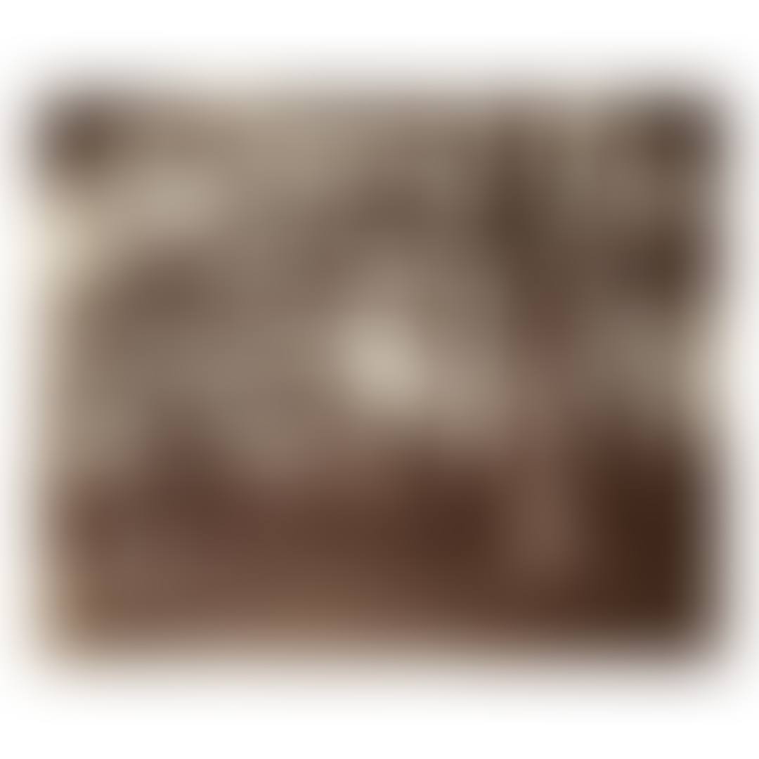 'ST. CLOUD' (preview)