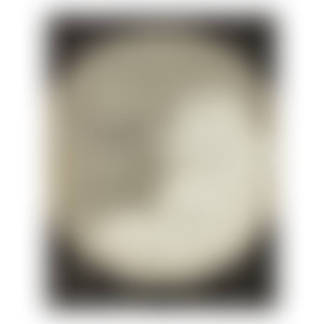 RAYOGRAPH (preview)