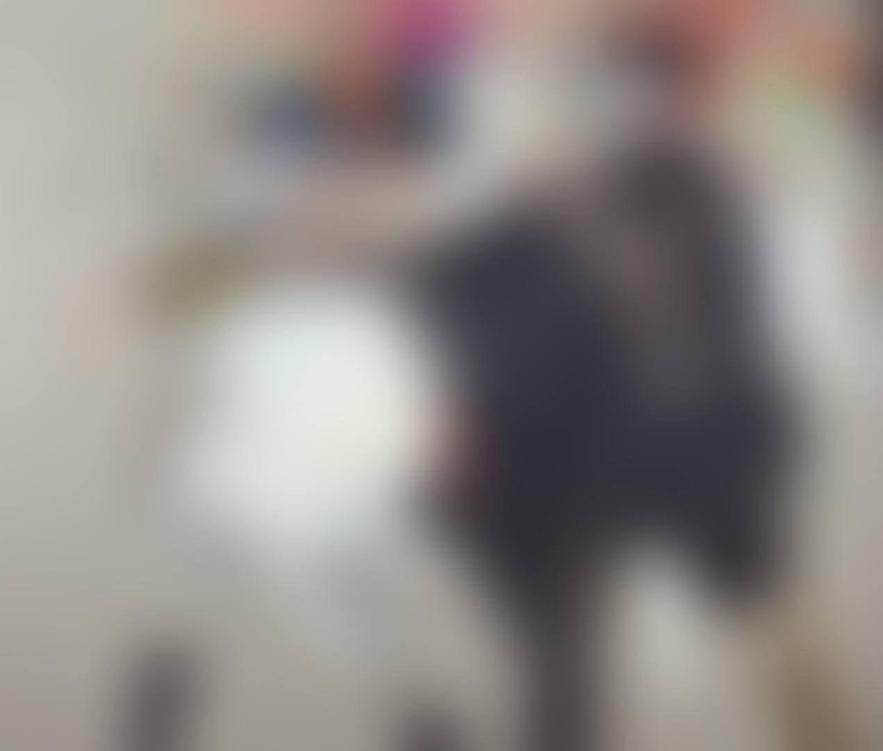 THE WORKERS  (preview)