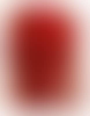 Hermann nitsch 01 (preview)