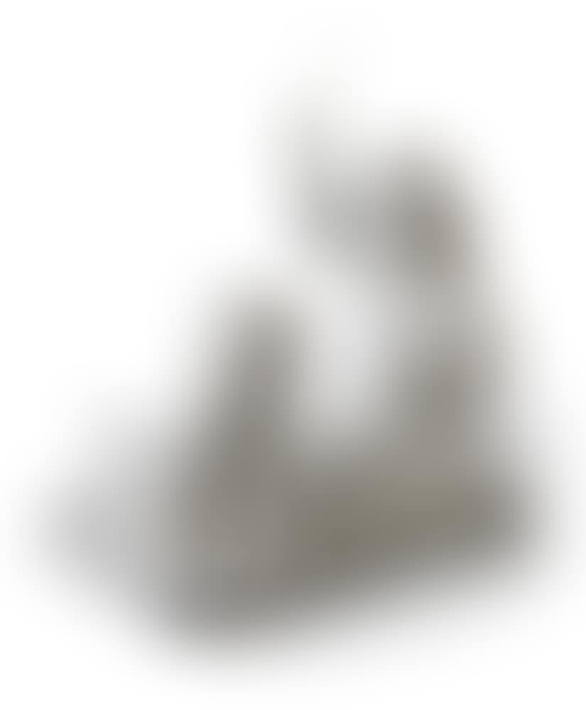 The girl seated with her right hand raised to the dog who has just spilt his bowl (preview)
