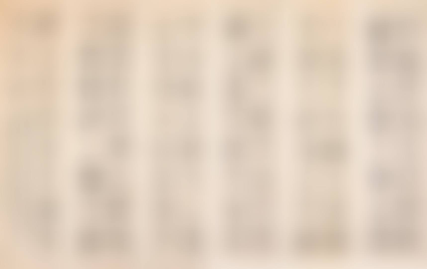 CALLIGRAPHY IN SHIGUWEN (preview)