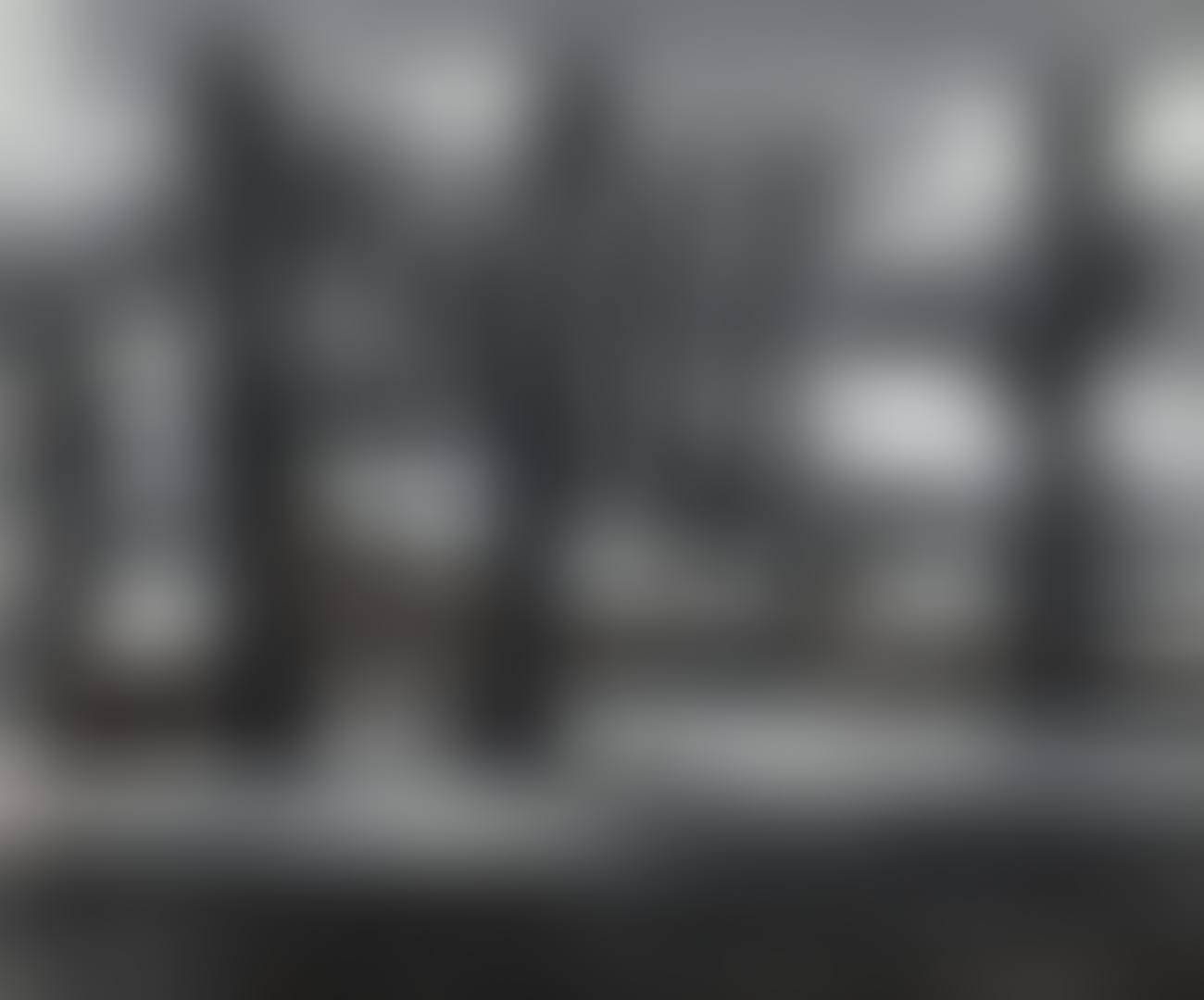 WINTER LANDSCAPE (preview)