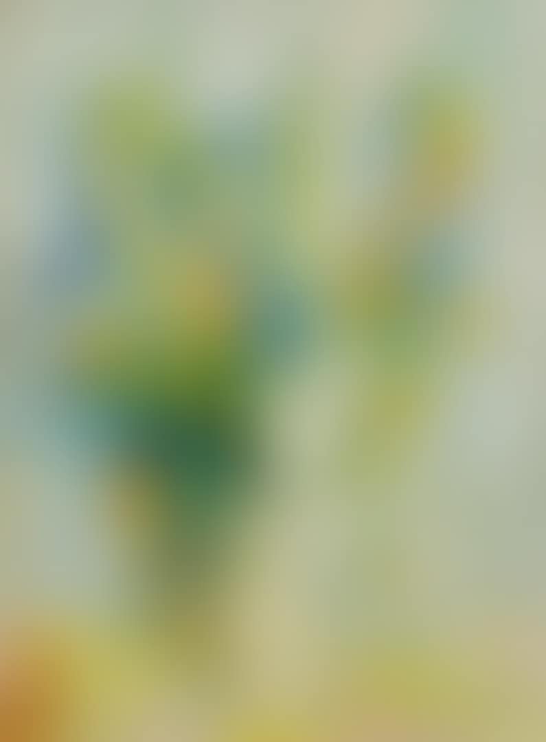 FLEURS (FLOWERS) (preview)