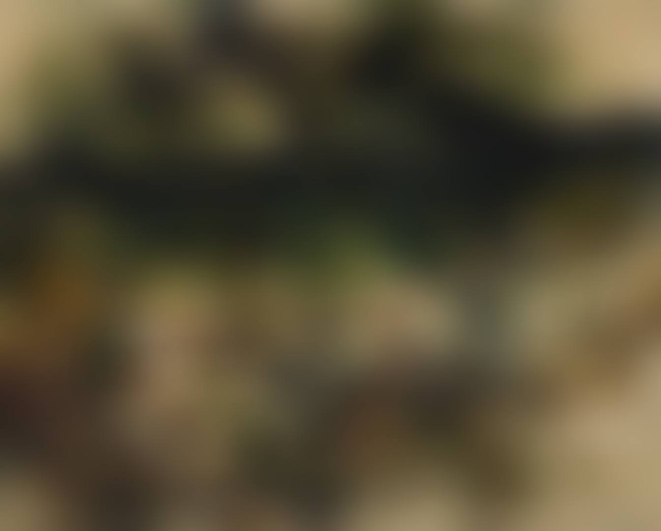 BOATS (preview)