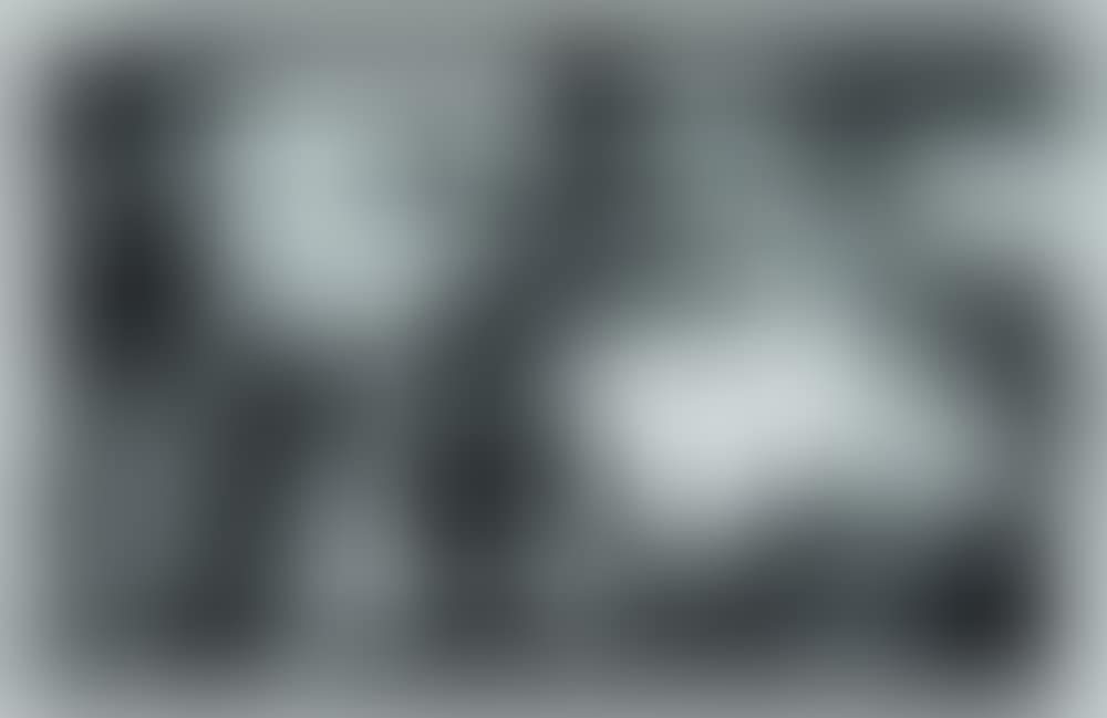 Army, -1966 (preview)