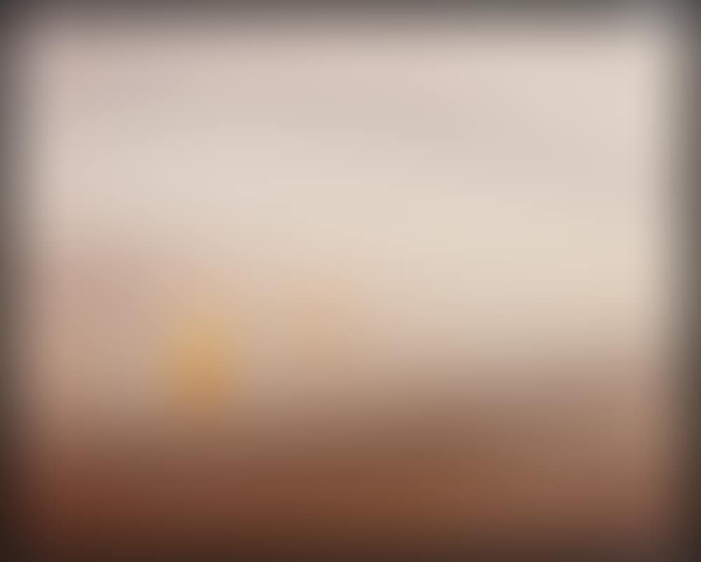 Salton Sea, 1983 (preview)