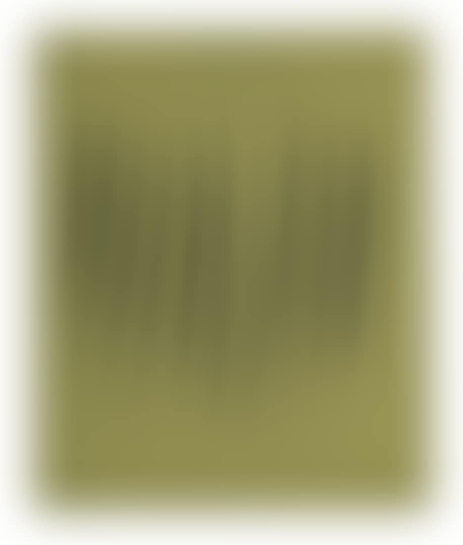 Concetto spaziale, Attese (preview)