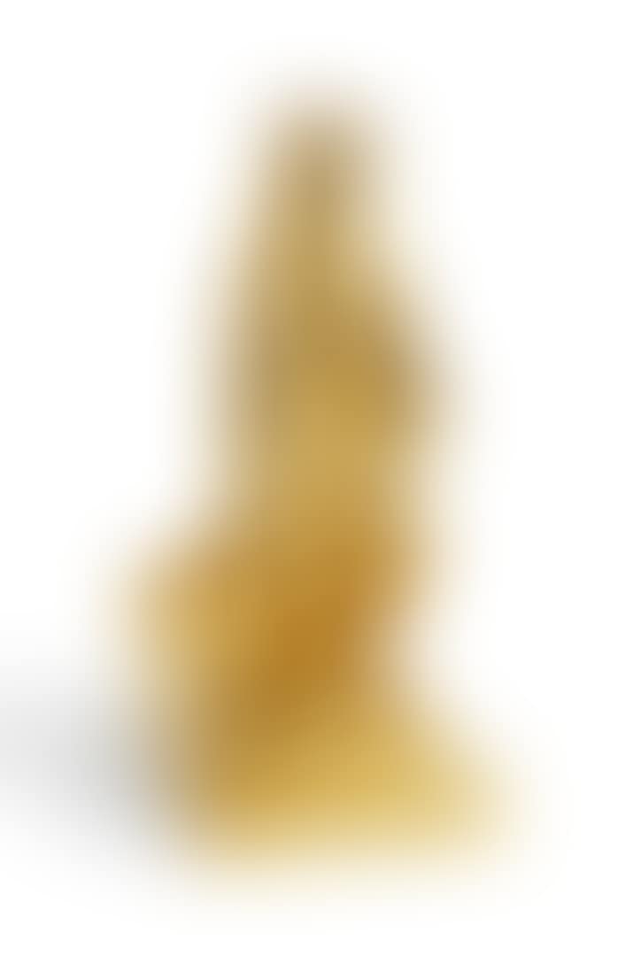 NATURE STUDY (preview)
