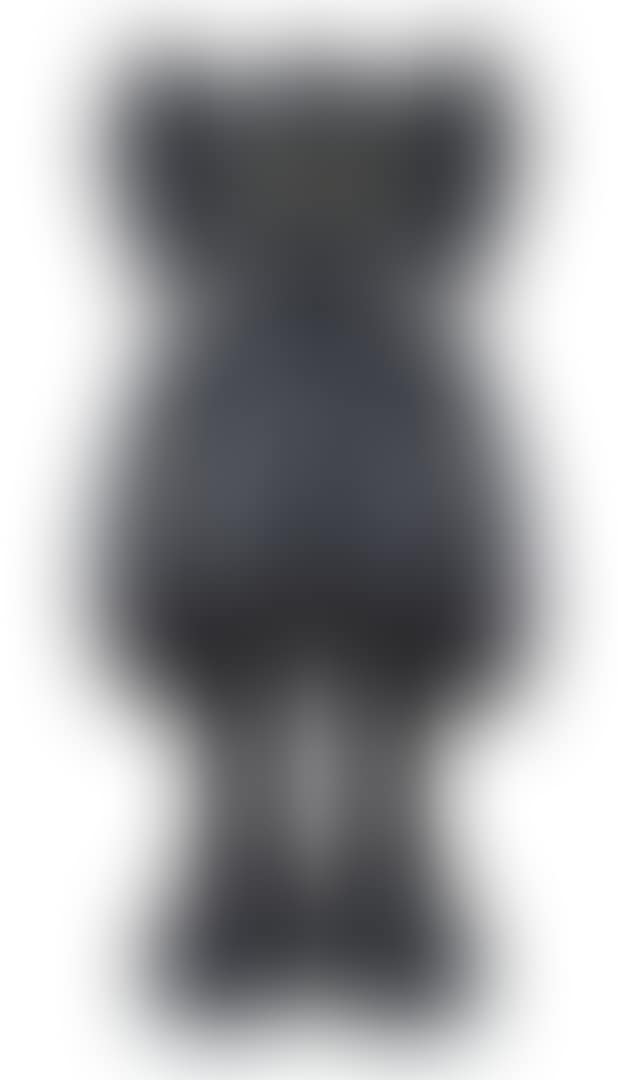 COMPANION (preview)