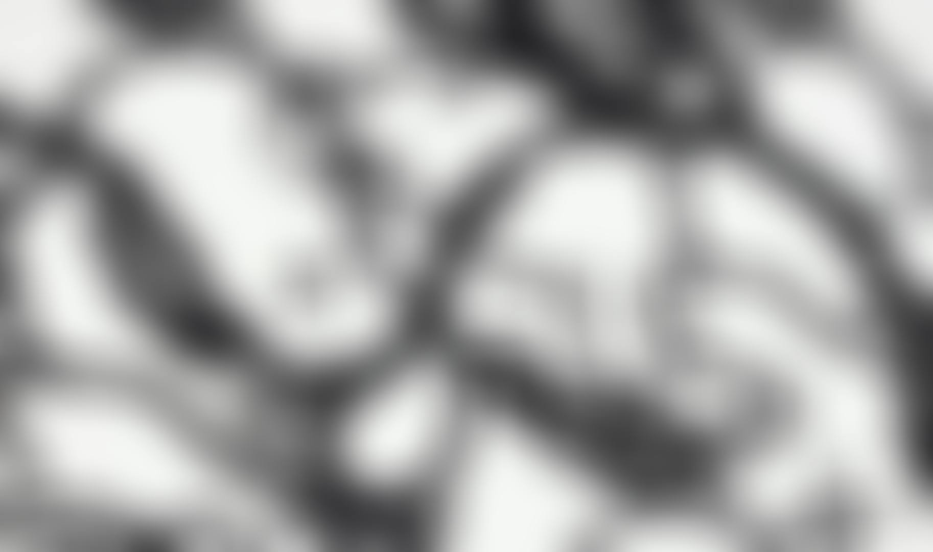 UNTITLED (MBFR7) (preview)