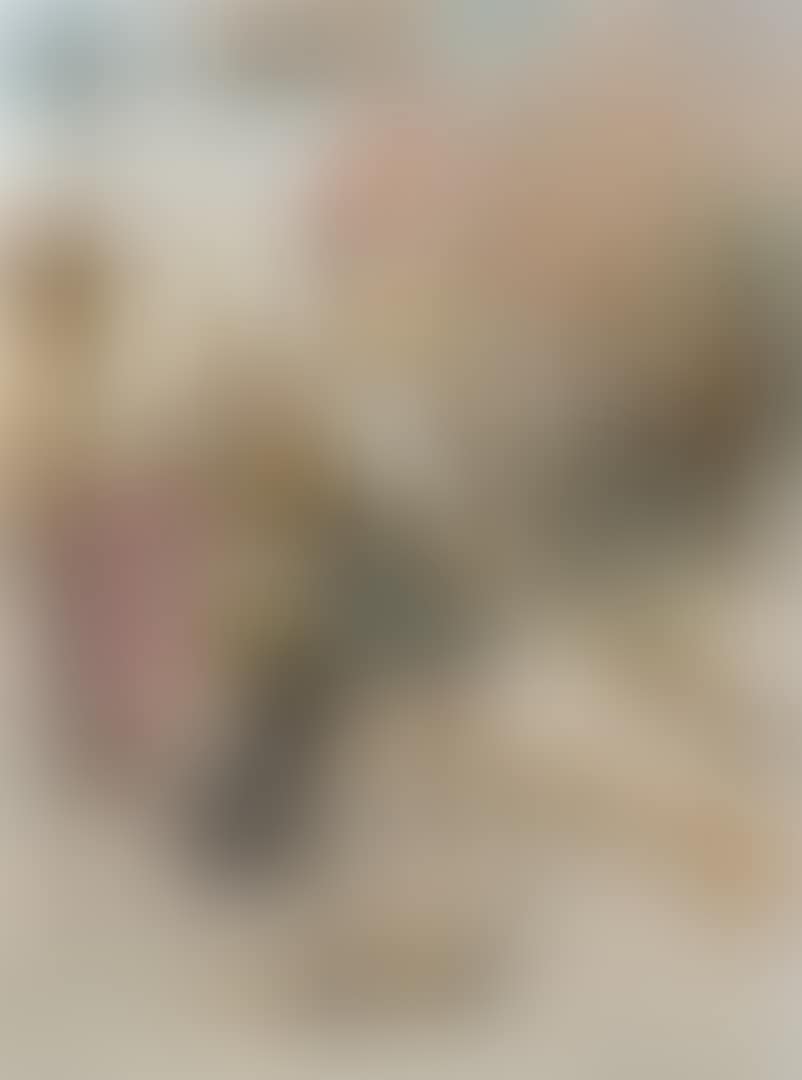 UNTITLED (preview)