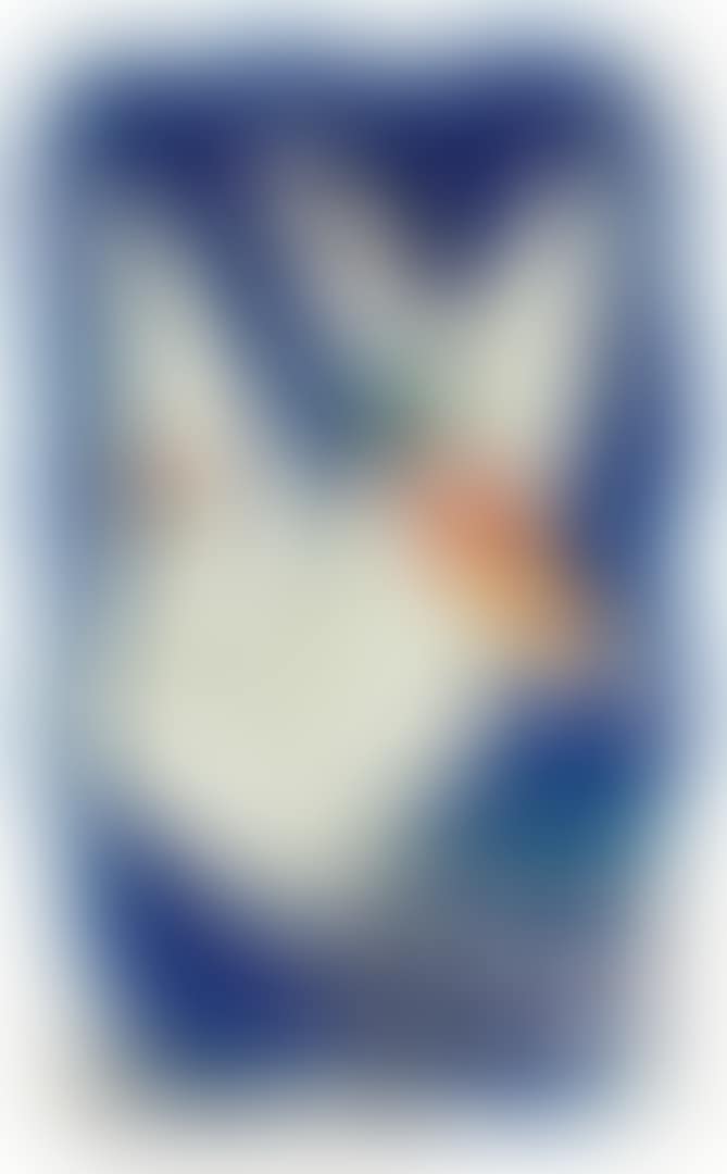 FLYING ASTRO BOY (preview)