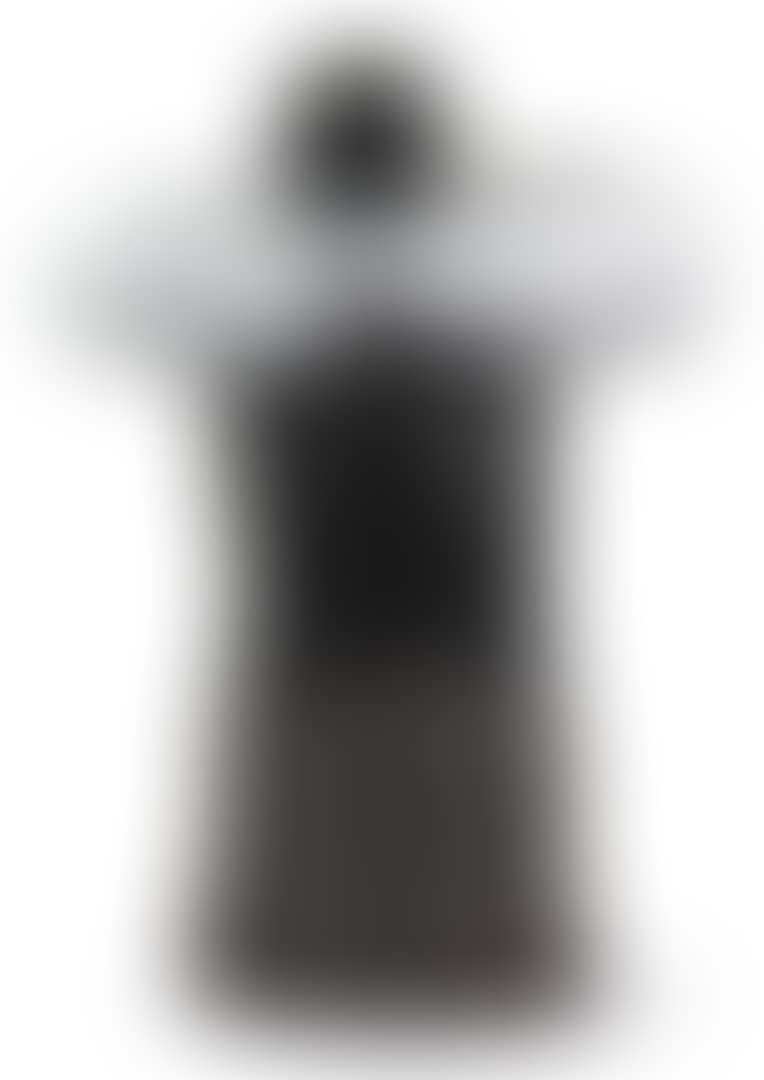 THE BUDDHA IN THE CLOUD (preview)