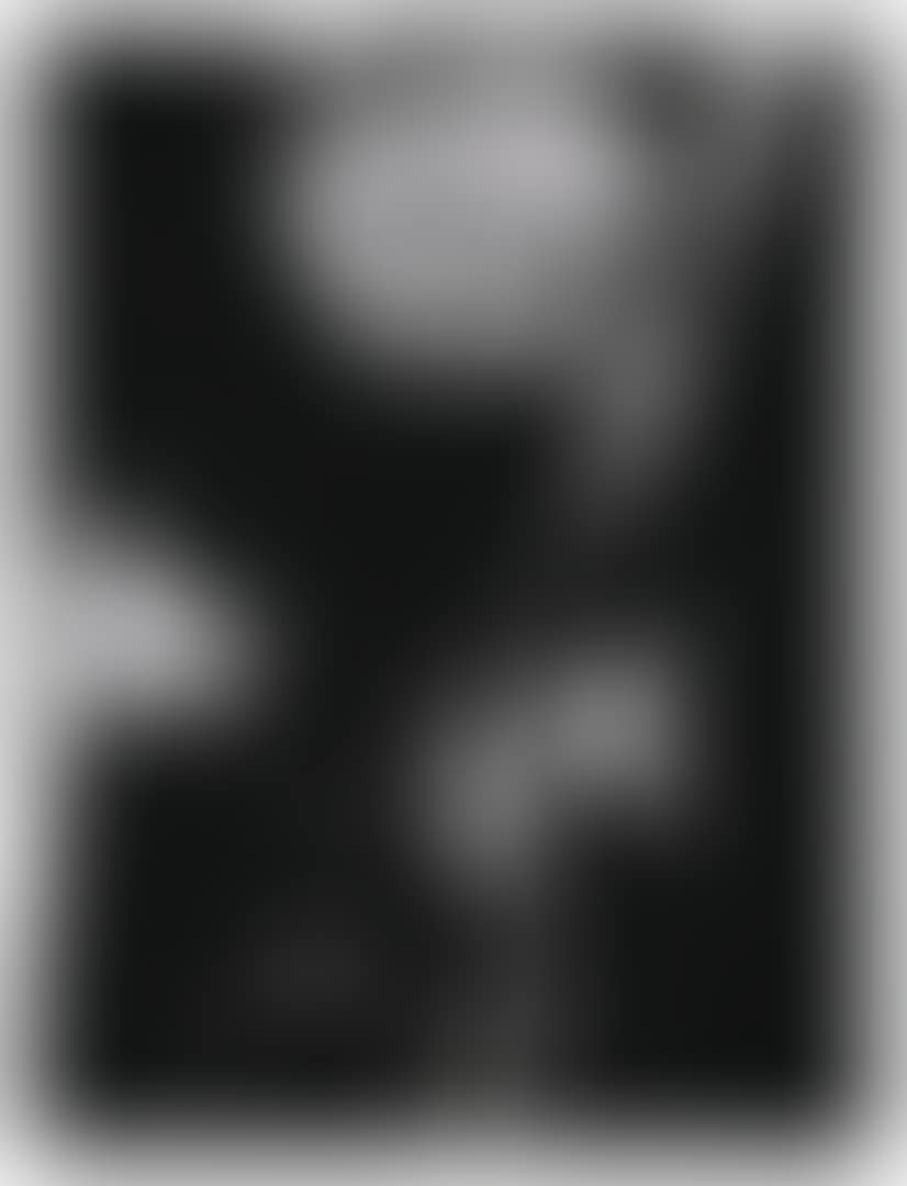 Black and Silver Boy, for Sarah (preview)