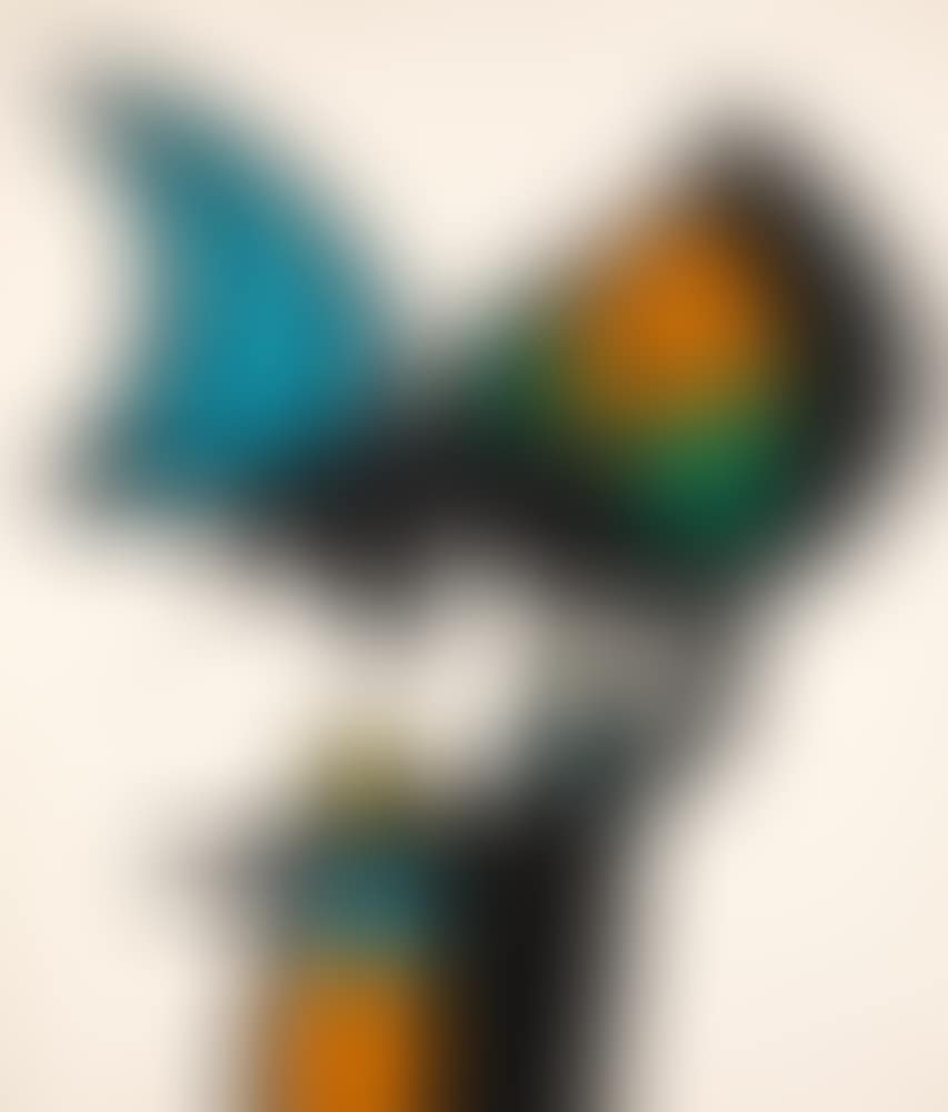 Plate VI, from Espriu - Miró (D. 874) (preview)