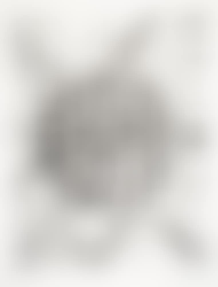 Untitled (L. 201; SF-209) (preview)