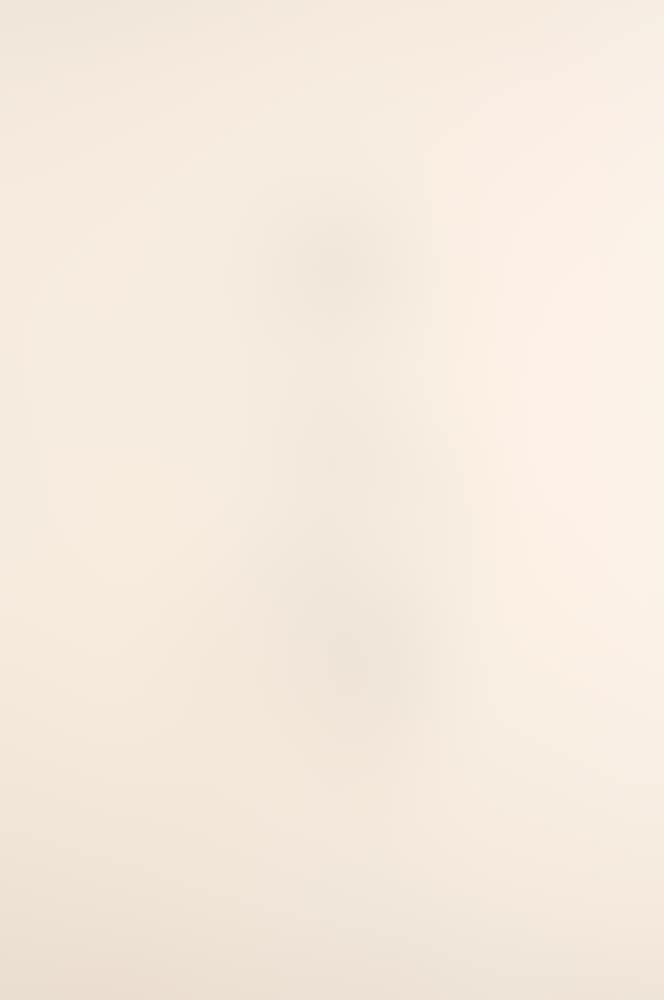 Peach Branch (A. 93; G. 529) (preview)