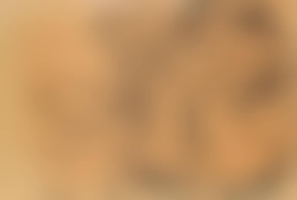 Female figure with sitar (preview)