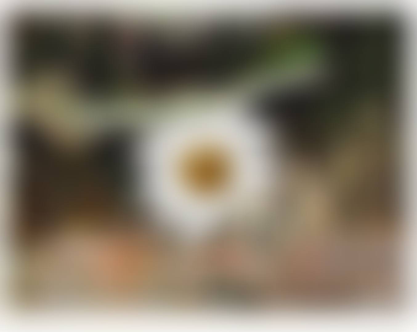 UNTITLED (23.4.07) (preview)