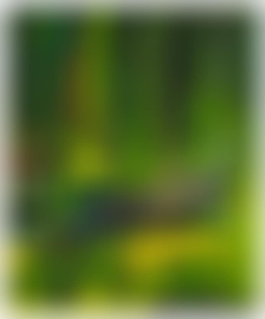 TROPICA (preview)