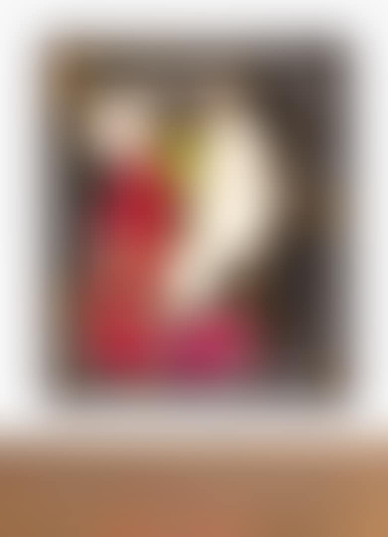 PERFIL DE DAMA CON MARCO (preview)