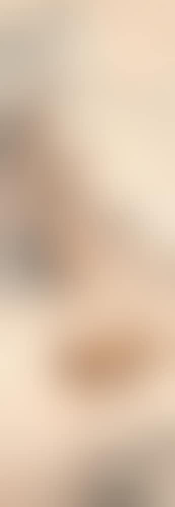 Camels (preview)