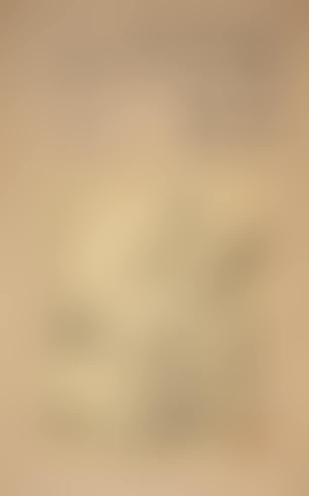 Landscape (preview)