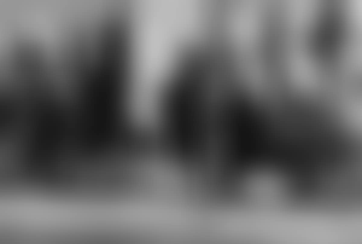 Afghanistan (preview)