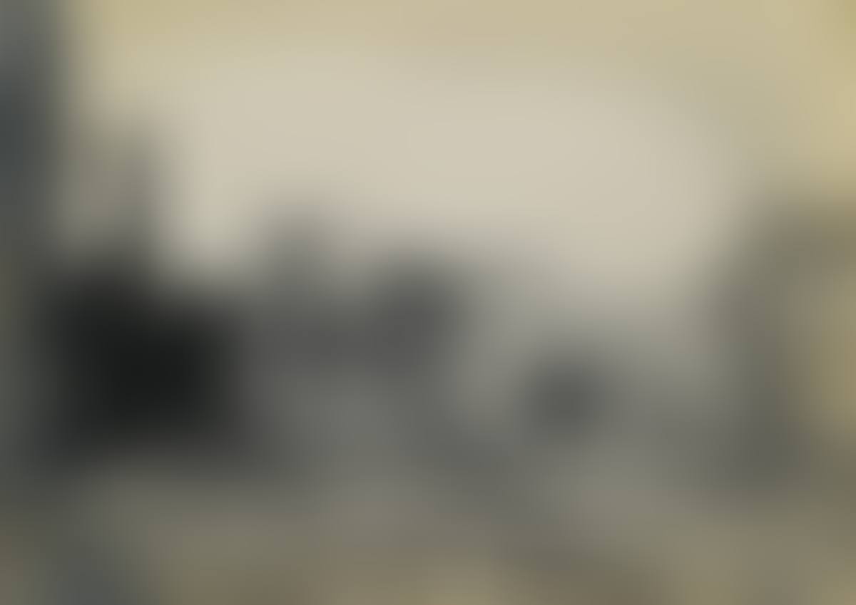 The aftermath of the 1906 earthquake (preview)