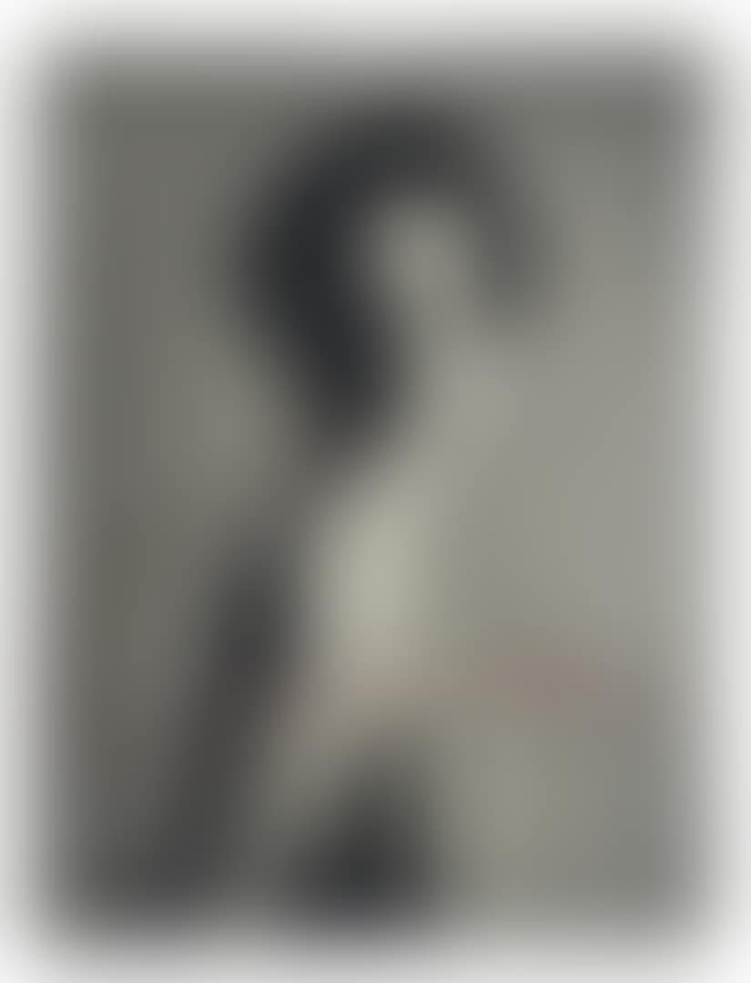 Avedon (preview)