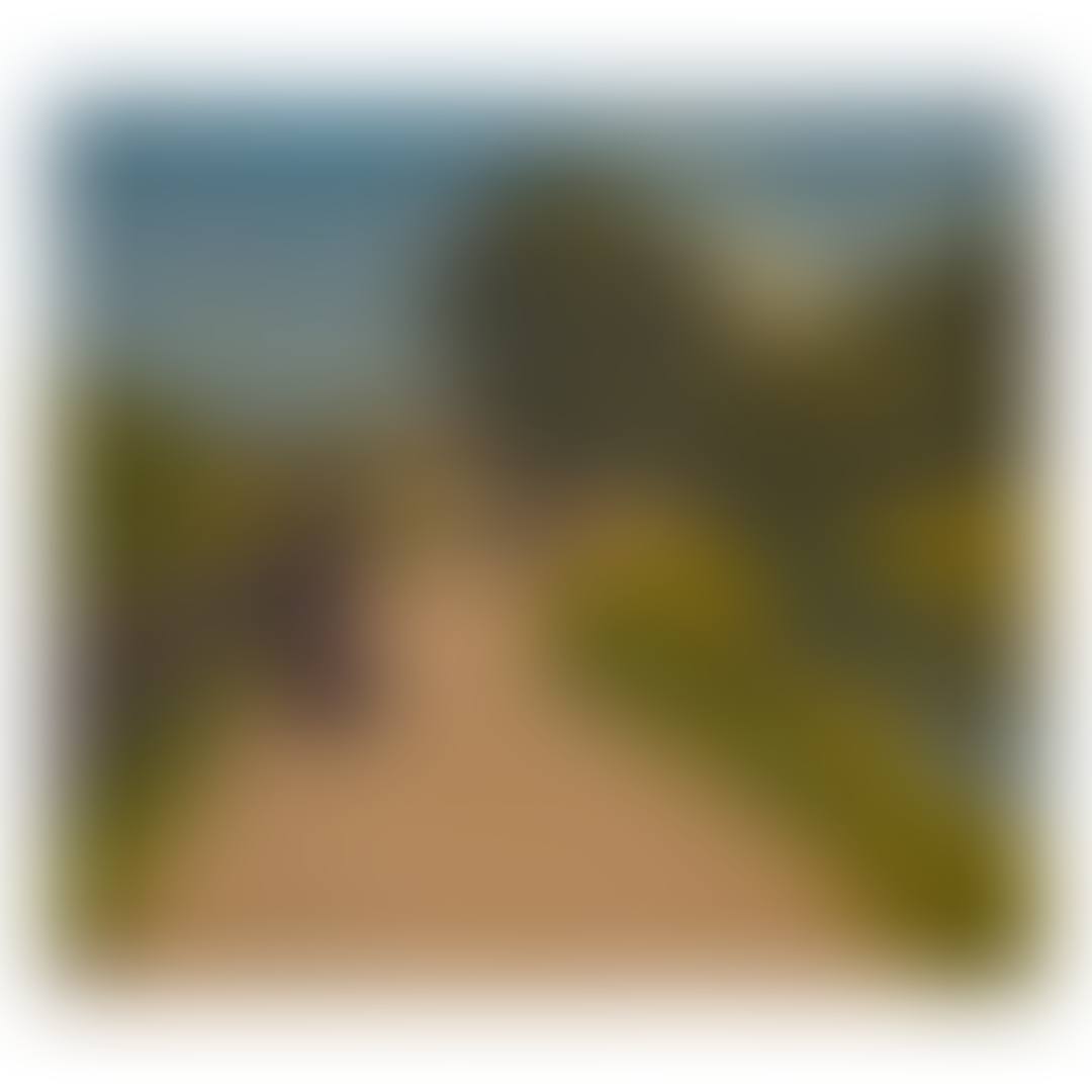 AN AFTERNOON PROMENADE (preview)